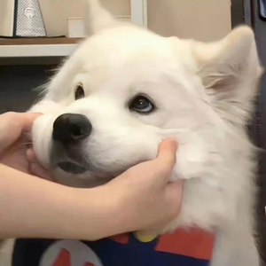 范冰冰裸被❌高清网站
